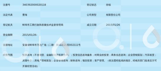 安徽致合投资管理咨询 领航汽车信息咨询新蓝海